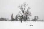 Brockwell Park in the Snow Series